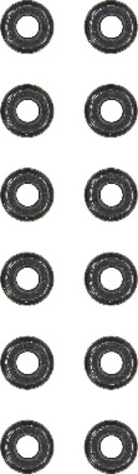 Victor Reinz 12-31306-08 Engine Valve Stem Oil Seal Set