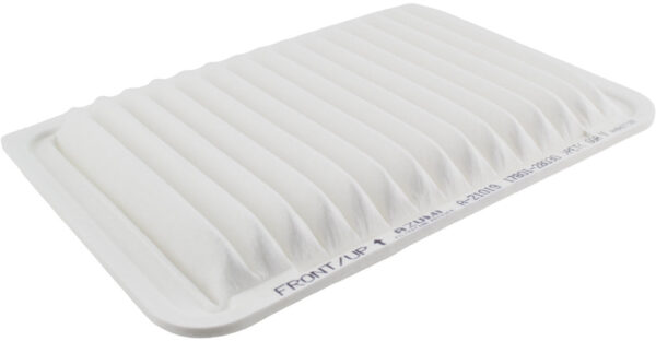 Asianautos A21019 Engine Air Filter