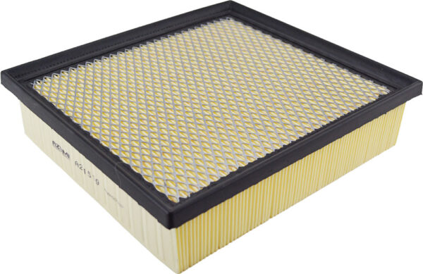 Asianautos A21519 Engine Air Filter