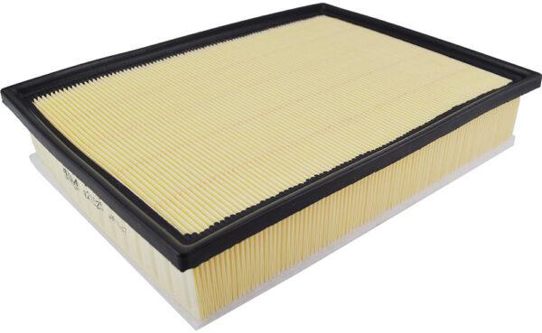 Asianautos A21525 Engine Air Filter
