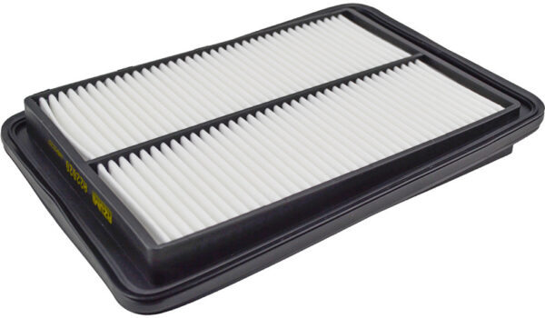 Asianautos A22020 Engine Air Filter