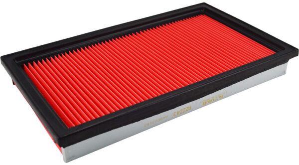 Asianautos A22243 Engine Air Filter