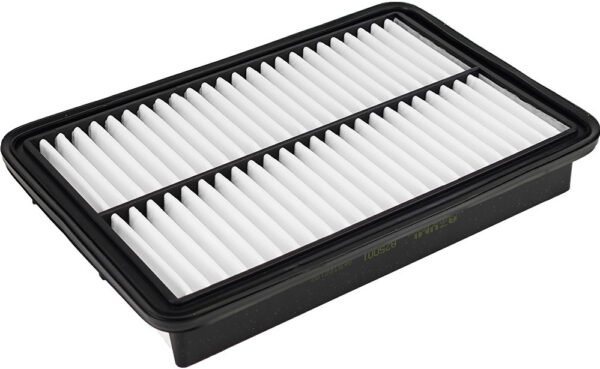 Asianautos A25001 Engine Air Filter