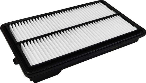 Asianautos A28017 Engine Air Filter