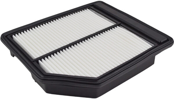 Asianautos A28886 Engine Air Filter