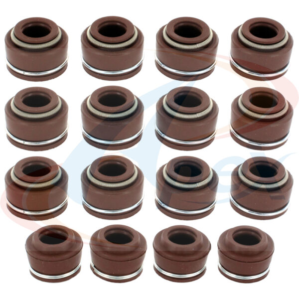 APEX Automobile Parts Inc AVS1000 Valve Stem Seal Set