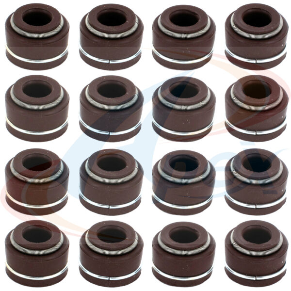 APEX Automobile Parts Inc AVS1012 Valve Stem Seal Set