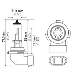 Hella H10 Multi-Purpose Light Bulb - Image 2
