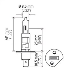 Hella H1 Multi-Purpose Light Bulb - Image 2