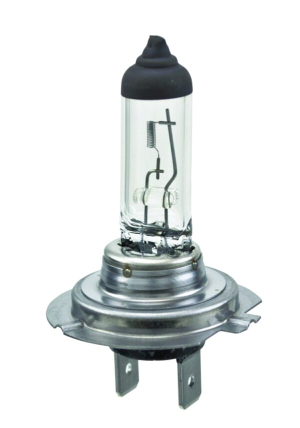 Hella H7 HELLA Multi-Purpose Light Bulb H7