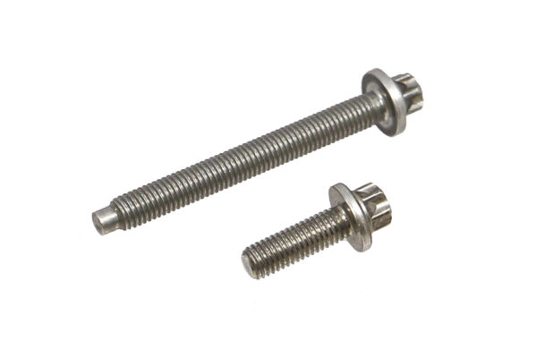 Rein HWK0039 OE Quality Aluminum Bolt Kit